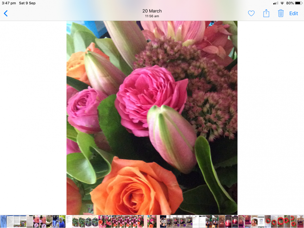 Pink and orange