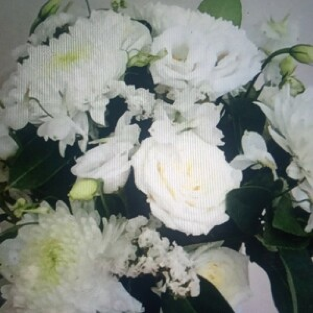 White elegance