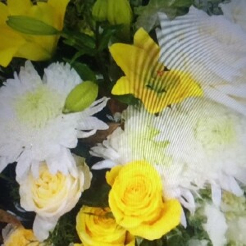 Burst of sunshine