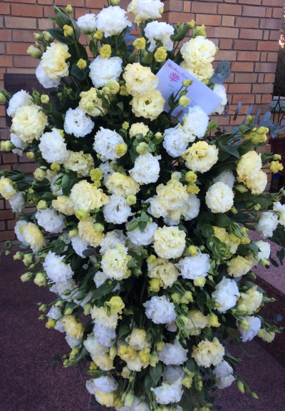 Eternal Beauty - A stunning spray of all LISIANTHUS . Colour combinations optional at the request of the sender.